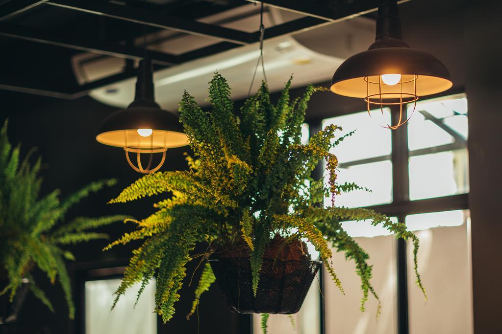 Srisuksant Square Hostel Krabi town Екстериор снимка